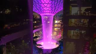 Santai di Jewel Changi                             #jewelchangiairport