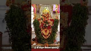 Sitaram Maharaj Khardi WhatsApp Video Status New || Swami Samarth Akkalkot Status || Shankar Maharaj