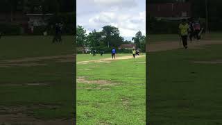 Top Wickets of 2024 | CPL| #wicket #cricket