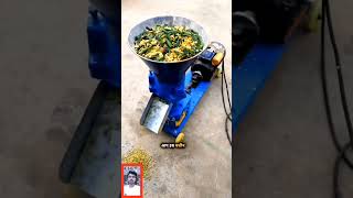 Animal feed pellet machine #shorts #ytshorts #pelletmachine