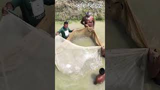 রাজ্জাক ভাই পুকুরে মাছ চাষ ৩০ বছর ধরে - Fish farmer in bd - কৃষি বিচিত্র #shorts