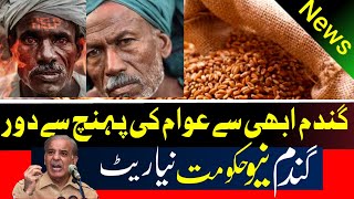 Wheat rate today| Gandam rate today, گندم کا نیو حکومت نیا ریٹ