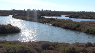 Recorriendo en bici el Parque Natural de los Torruños (Cádiz)