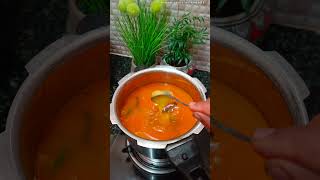 TOMATO RICE 🌾 NANI Special llsimple & Tasty 😋 ll Quick recipes preparation llMust try