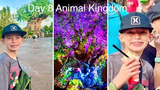 Florida Trip Day 8: Animal Kingdom