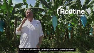 Conoce cuantas veces debes aplicar Routine® Prime | Agro Bayer Colombia