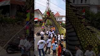 arak-arakan domba dan naga raksasa karnaval pingit 2023 #shorts