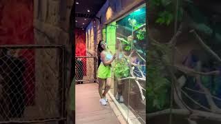 Hot Indian Girl in Dubai Underwater Zoo & Aquarium | Enjoying in green shorts & white t-shirt