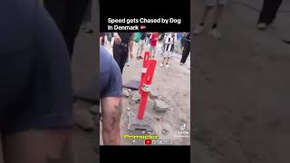 iShowSpeed Chased by Dog in Denmark 🇩🇰 #ishowspeed #funny #shorts