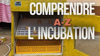 Formation gratuite pour comprendre le fonctionnement d'une couveuse de A-Z