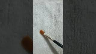 Random Person Cleaning There Brush VS Me