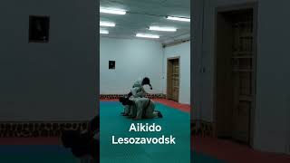 aikido