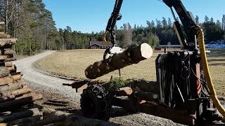 Valmet 605 unloading big tree