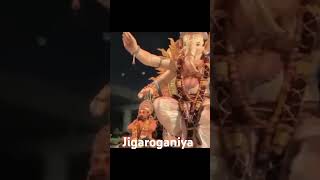 Goregaon cha Raja ganpati visarjan 2024 kanyapada #Ganpati#Bappa#morya#short# video#💖💖💖