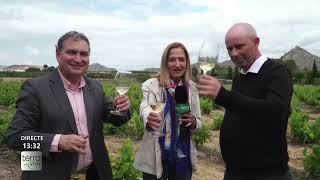 Terra Viva visita la Bodega Casa Sicilia