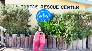 Sea Turtle Rescue Center  (South Padre Island, TX)