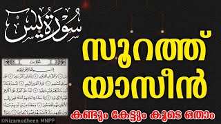 സൂറത്ത് യാസീൻ കണ്ടും കേട്ടും കൂടെ ചൊല്ലാം | Surah Yaseen recitation with lyrics