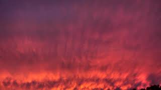 Beautiful Golden, Purple and Red Colorful Sunset Clouds in the Sky