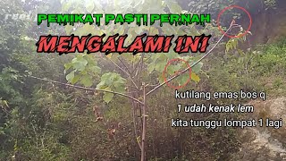 PEMIKAT PASTI PERNAH MENGALAMI HAL INI