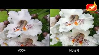 LG V30 Plus Vs Samsung Galaxy Note 8 Camera Test