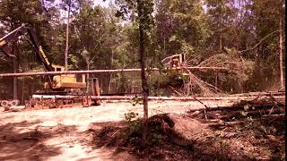 Knuckboom Stripping A Tree