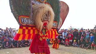 SOLAH PEMBARONG DADAK MERAK SARDULO TUNAS MUDHO HUT RI DESA NGAMPEL #dadakmerak #pembarong #reog