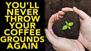 8 Brilliant Uses for Used Coffee Grounds | Split Rock Coffee Tips