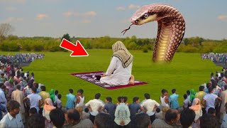 Naik Hakeem Aur Bada Sanp Ka Hairan Kar Dene Wala Waqia || नेक हकीम और बड़ा सांप का अजीब वाकिया