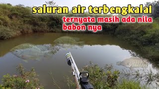 PASER IKAN !! SPOT LAMA MASIH DI HUNI IKAN NILA BABON