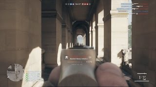 Streaking, COLLATERAL?!- BF 1 War Pigeons