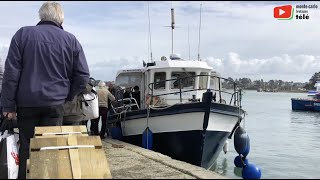 ÎLE AUX MOINES   |  La Croisière s'amuse  | Monte-Carlo Bretagne Télé 🇲🇨