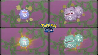 Pokemon Go: Evolving Normal & Shiny Koffing into Normal & Shiny Weezing