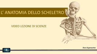 ANATOMIA DELLO SCHELETRO   VIDEO LEZIONE