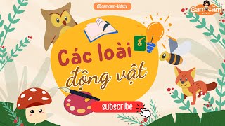 Khám Phá Động Vật Trên Cạn – Video Dạy Bé Học Tên Con Vật