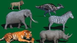 Animal Cartoon Green Screen video running video #green_screen #cartoon