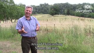 Creating a new meadow at The Sharpham Trust