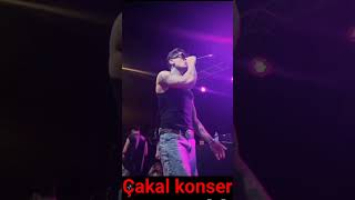 aşk olsun çakal konseri #cakal95 #reckol