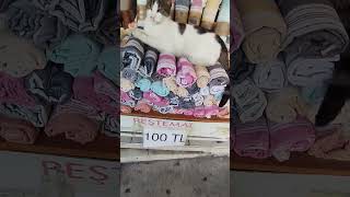 Peştemal alana kedi bedava..