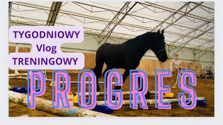 TYGODNIOWY VLOG TRENINGOWY🐴|| Marten zrobił bardzo duży postęp🫠