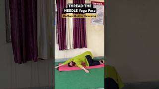 Yoga For Spine Flexibility & Mobility | Urdhva Mukha Pasasana | #yoga #yogagirl #shorts #spinehealth