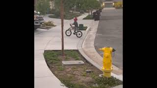 Petey Was On The Paddles Bike For The First time.