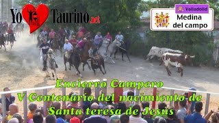 Caballo herido 🚑 en el Encierro Campero de TOROS BRAVOS en MEDINA del CAMPO