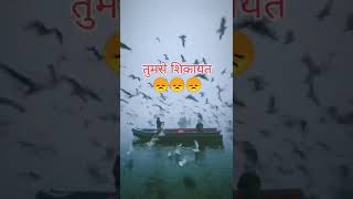 तुमसे मोहब्बत तुमसे शिकायत #songs #statusvideo #ytshorts #viral #love #whatsappstatus #romantic