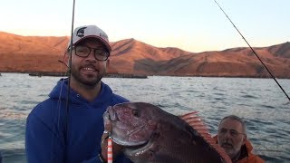 Pescare alle Canarie - Vertical Jigging a Lanzarote