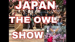 Japan Owl Show