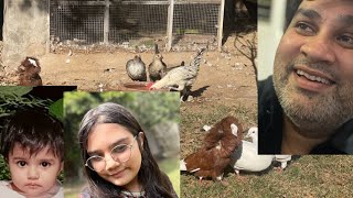 DAILY ROUTINE #birdslover #lovebirds #SHEEP🐑🥰🌹❤️🐇🌹🥚