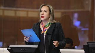 Ana María Raffo | Intervención Pleno nro. 949 | 5 de septiembre de 2024 | #ReformaLeyCultura.