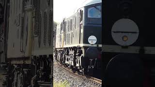 D5054 "Phil Southern" and 33109 "Capt Bill Smith RNR"