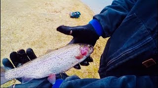 Catch n' Cook  (Rainbow Trout)