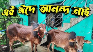 ঈদের দিন কিভাবে কাটলো || Purbasha Agro